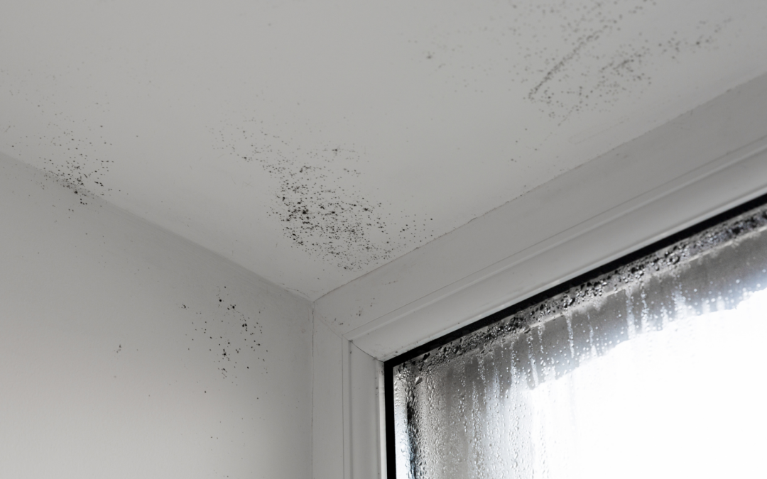 Anti-Condensation Coatings for Industrial Roofs and Soffits